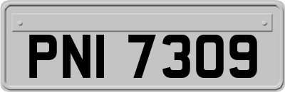 PNI7309