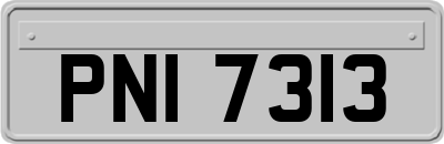 PNI7313