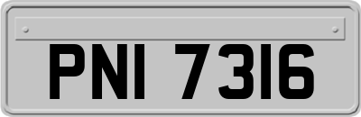 PNI7316