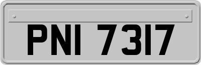PNI7317