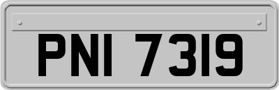 PNI7319