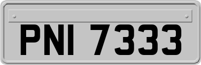 PNI7333