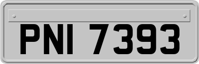 PNI7393