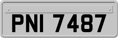 PNI7487