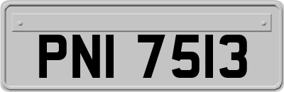 PNI7513