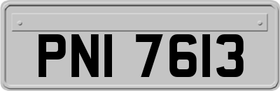 PNI7613
