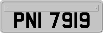 PNI7919