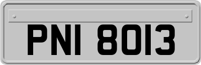 PNI8013