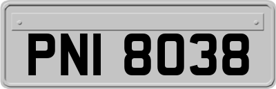 PNI8038