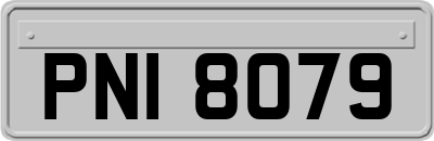 PNI8079