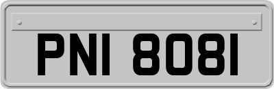 PNI8081