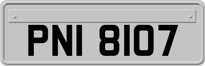 PNI8107