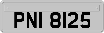 PNI8125