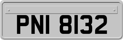 PNI8132