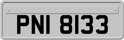 PNI8133