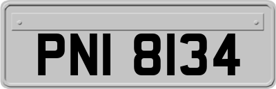 PNI8134