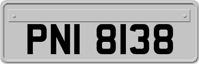 PNI8138