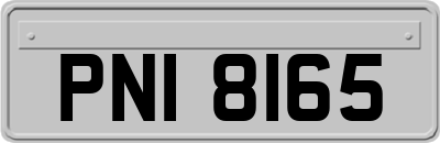 PNI8165