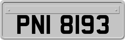 PNI8193
