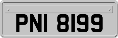 PNI8199