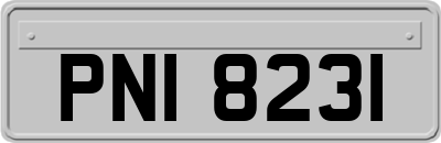 PNI8231