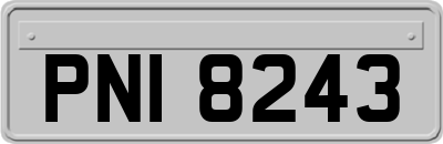 PNI8243