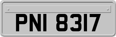 PNI8317