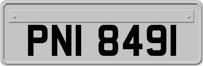PNI8491