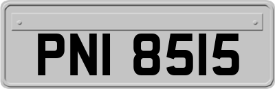 PNI8515