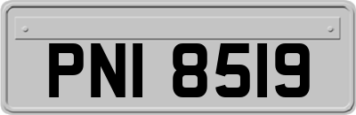 PNI8519