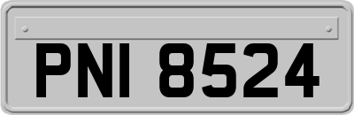 PNI8524