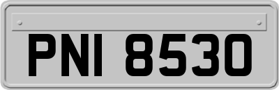 PNI8530