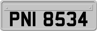 PNI8534