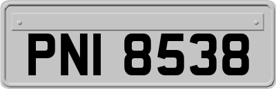 PNI8538