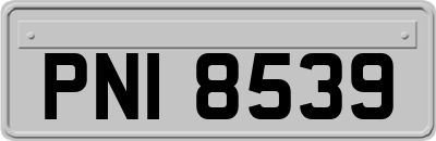 PNI8539