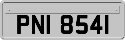 PNI8541