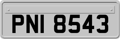 PNI8543