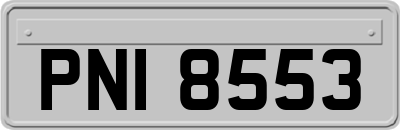PNI8553