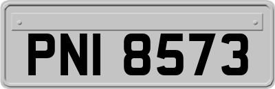 PNI8573