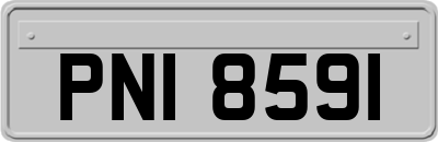 PNI8591