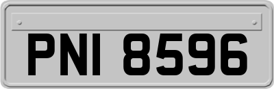 PNI8596