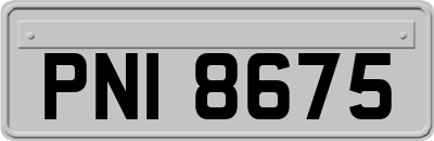 PNI8675