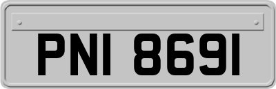 PNI8691