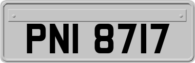 PNI8717