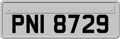 PNI8729