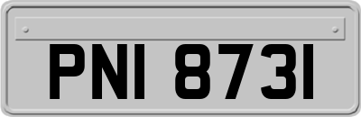 PNI8731