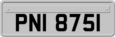 PNI8751