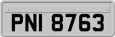 PNI8763