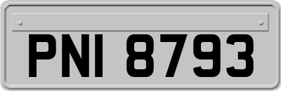 PNI8793