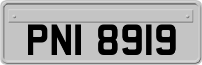 PNI8919
